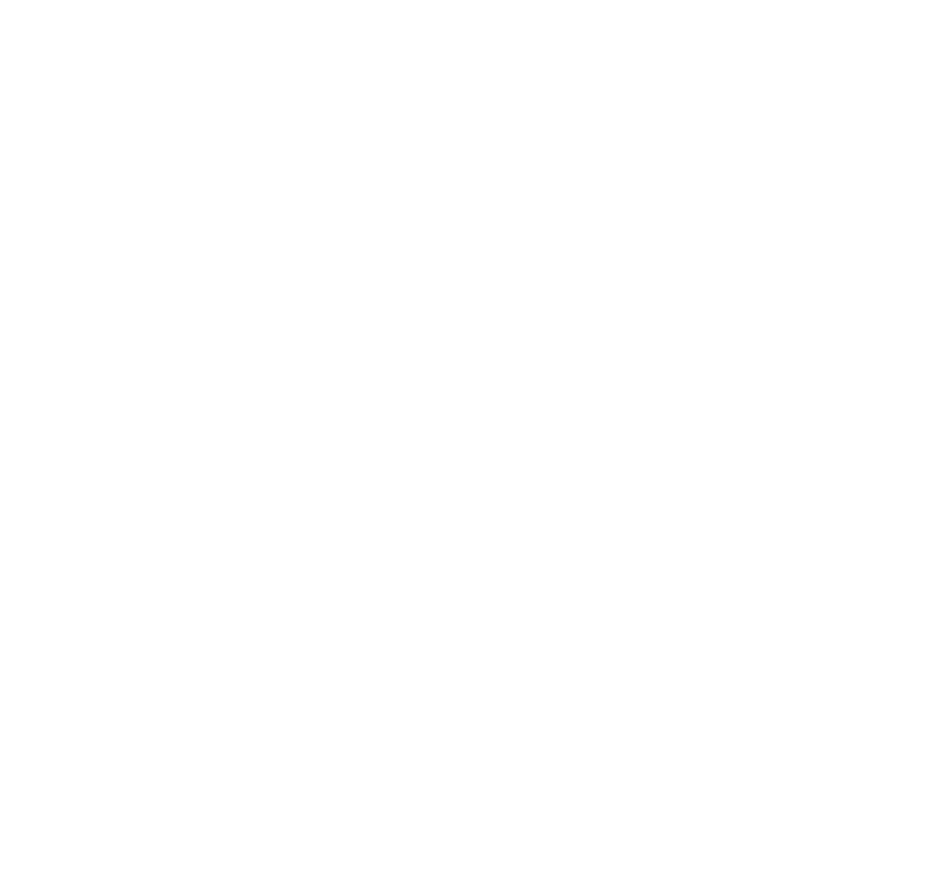 Mr. Nine Logo